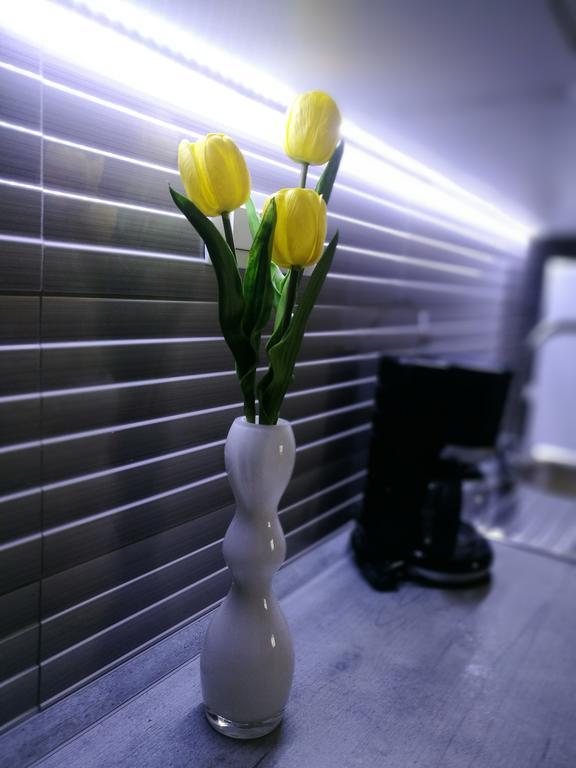 Apartment Cozy シベニク エクステリア 写真